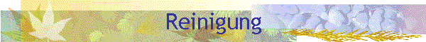 Reinigung