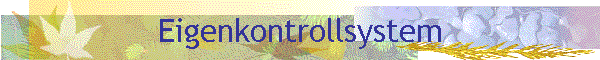 Eigenkontrollsystem