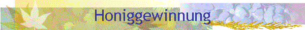Honiggewinnung
