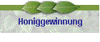 Honiggewinnung