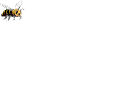 bee_flying.gif (11382 Byte)